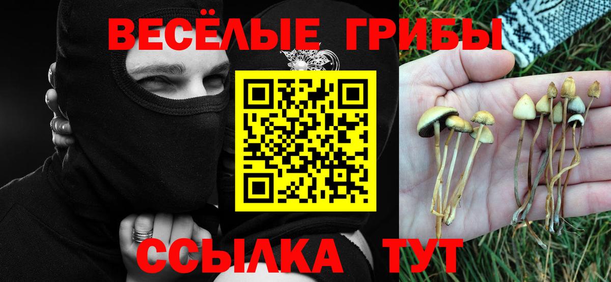 Псилоцибиновые грибы Magic Shrooms Зима