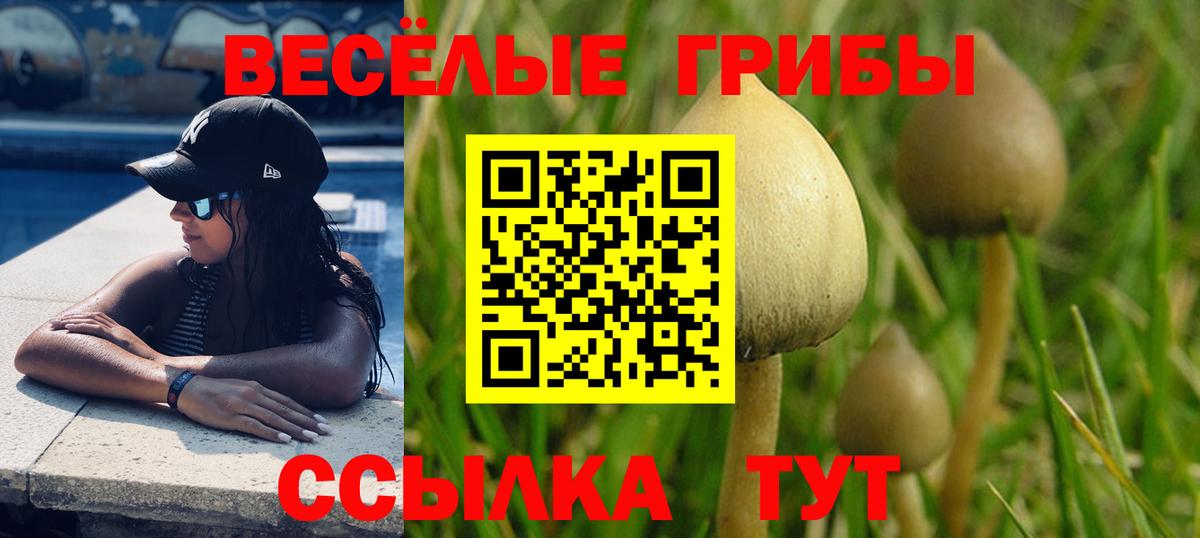 где продают наркотики  Псилоцибиновые грибы MAGIC MUSHROOMS  Вход с VPN  Псилоцибиновые грибы GOLDEN TEACHER  Зима 